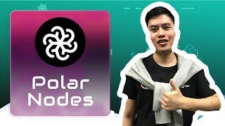 Polar Nodes - A project with which you will definitely earn money!