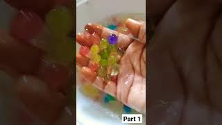 DIY||money plant propegation||by shahina khan