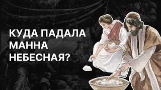 Куда падала «манна небесная»? Природа древнего Израиля. Евгения Смагина