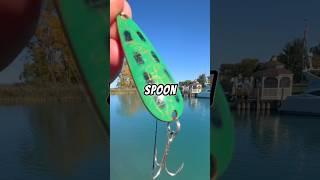 Fishing with a SMALL SPOON  #fishing #fish