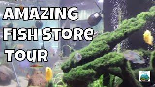 INCREDIBLE LFS Blue Fish Aquarium Local Fish Store