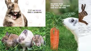 A2 토끼야 깡총깡총 어서와