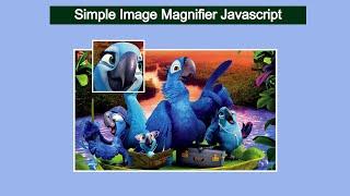 Image Magnifier JavaScript | Image Zoom on Mouse Hover in JavaScript