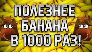 ПОЛЕЗНЕЕ БАНАНА В 1000 РАЗ! Виталий Островский. Мёд в сотах, прополис, рецепты, мирра, зеленый чай.