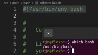 #!/usr/bin/env bash VS /bin/bash VS /usr/bin/bash