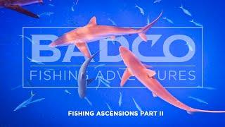 Fishing Ascension Island Part 2: A Frenzy of Sharks!