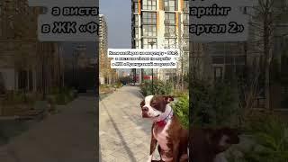 Життєво #нерухомість #нерухомістькиїв #продажквартири #агенствонерухомості #ріелторкиїв