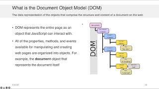 Web Application Development - Javascript essentials