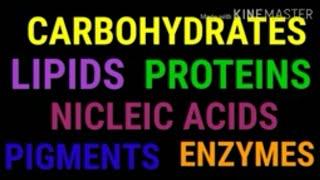 Nutritional biochemistry part 1