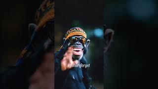 Crow and Fox Story in English | Moral Stories in English | Be Careful of Flatterers | Animated Story
