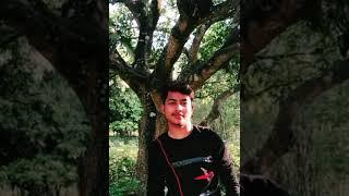 Arif fani video