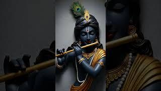 jai shree shyam ji #shyamji#bhakti️️️️️