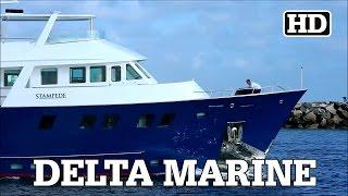 Delta Marine Explorer Yacht | STAMPEDE