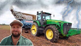 Picking Peanuts After A Massive Flood