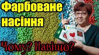 Голландське насіння? Корисно знати!