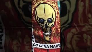 московская высотка, черепа хейдиз|lena hades skulls|