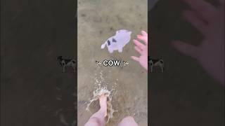 I DESTROYED SALLY THE COW!  *RIP amazon stress ball fidget*