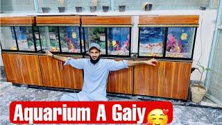 Surprise Hamary  Aquarium a gaiy  | Pets Vlog | Ahma Daily Vlogs | How To Make Aquarium At Home
