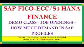 SAP FICO /S4 HANA FINANCE DEMO..-8074156411