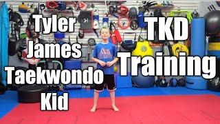 Taekwondo Training by Tyler James Taekwondo Kid