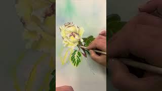 This June, get inspired to paint and create with Anita’s NEW Colours of June blog!