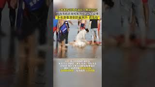 一海滩有巡逻员溺亡？景区回应!下海劝说游客时体力不支发生意外，多名游客游到防鲨网外，很危险