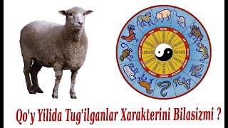 Qo’y Yilida Tug‘ilganlar Xarakterini bilib Olamiz - Qo’y muchalida tug’ilganlar haqida !!!