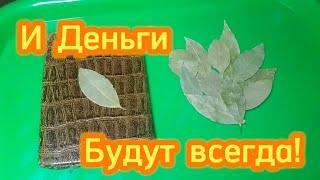 Положи лавровый лист в кошелек - и деньги будут всегда