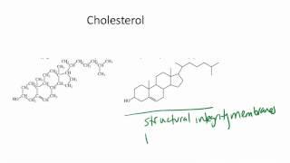 ChemBridge Unit9V9 Cholesterol