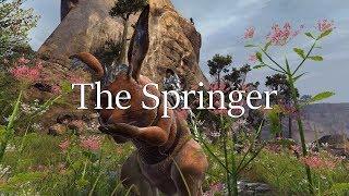 [GW2] [Lore] The Springer Mount