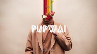 Pupwai - Anti-Psychotics in a Bombed Out Church (8D Aural Explosion Mix) Music For ADHD