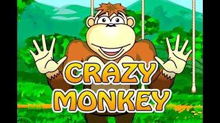 Как надо правильно играть в CRAZY MONKEY