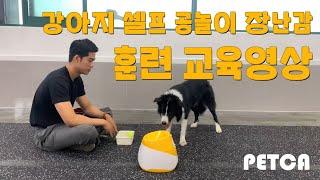 PETCA 공놀이 기계 교육 영상