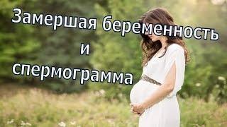 Замершая беременность на раннем сроке и спермограмма по Крюгеру. Повторная замершая беременность.