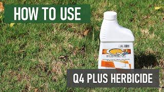 How to Use Q4 Plus Turf Herbicide [DIY Grassy & Broadleaf Weed Control]