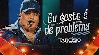 EU GOSTO É DE PROBLEMA - Tarcísio do Acordeon (DVD Meu Sonho)