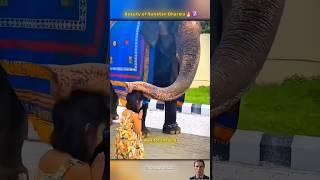 Beauty of Sanatan dharma #shortsvideo #trending #ytshorts #hindu #hinduism #youtubeshorts #yt