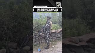 J&K: Gunshots heard in Bandipora forest area, security forces cordoned off the area