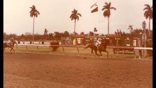 1979 Florida Derby with Jim McKay & Eddie Arcaro