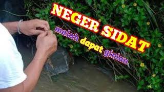 NEGER IKAN SIDAT/LUBANG |DI SUNGAI KECIL