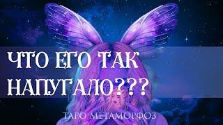 ЧТО ЕГО ТАК НАПУГАЛО? Почему он так себя повел??? Таро расклад 