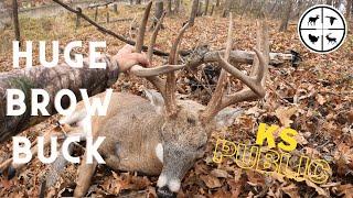 HUGE Brow Tine BUCK at 10 YARDS!!!  Hunting COLD FRONTS in KANSAS