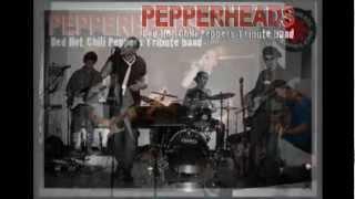 Pepperheads - Scar Tissue - Red Hot Chili Peppers Tribute Band