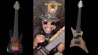 VP Harris  #amazon #bass #guitarstore#guitar #bootsycollins #bassguitars  #guitars #music #metal