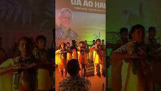 Hula Ua Ao Hawaii