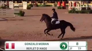 Gonzalo Moran en Wellington