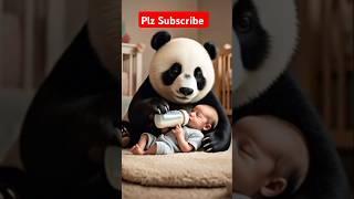 A Touching  Story Between A Panda And A Baby | #rescueefforts #shortsvideo #panda #baby #cute #short