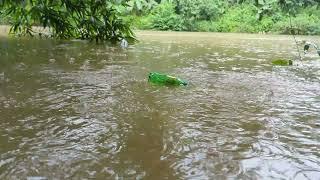 Amazing By Plastic Bottle Hook Fishing Video 2024