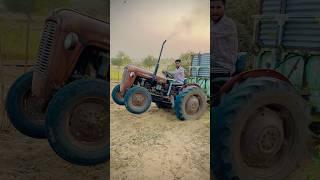Lalghoda k dada ji #bijughotiya #bijuvlog #minivlog #bijuvlogs #farming #bijujituvlog #minivolgs