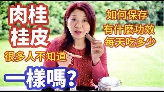 （244）肉桂與桂皮是一個東西嗎？「肉桂」超驚人的「6大健康功效」！肉桂和桂皮的功效？如何保存？怎麼吃？每天可以吃多少？Joanna澳洲生活 4K（字幕CC）